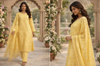 Cotton Chikankari Suit